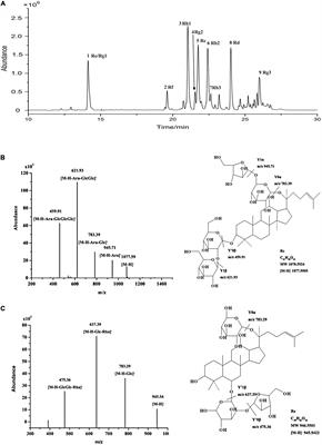 Studies on Bioactive Components of Red Ginseng by UHPLC-MS and Its Effect on Lipid Metabolism of Type 2 Diabetes Mellitus